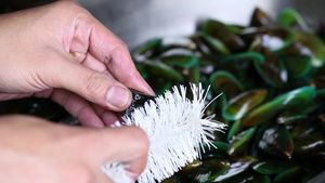 300px-clean-mussels-step-5-preview-version-3
