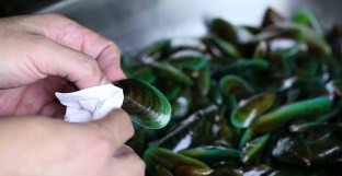 aid1383342-728px-clean-mussels-step-6-preview-version-3