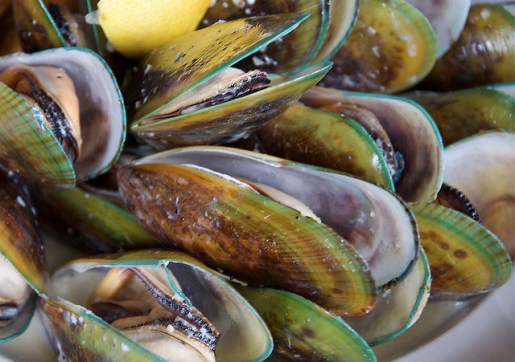 largeopenmussels-20100806-193335